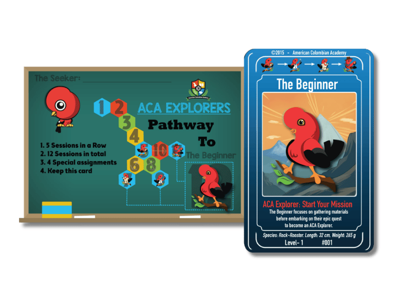 The Beginner Card (Explorer Track)